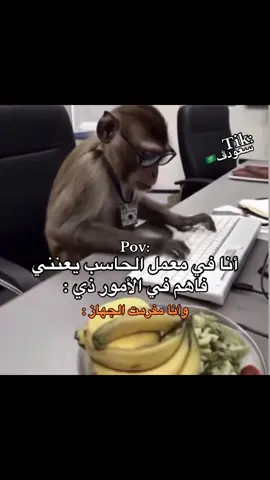 #سعودڤ🇸🇦 #explore #تيم_ريتش 