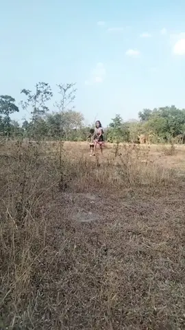 a loi, tai ko, pipi... 