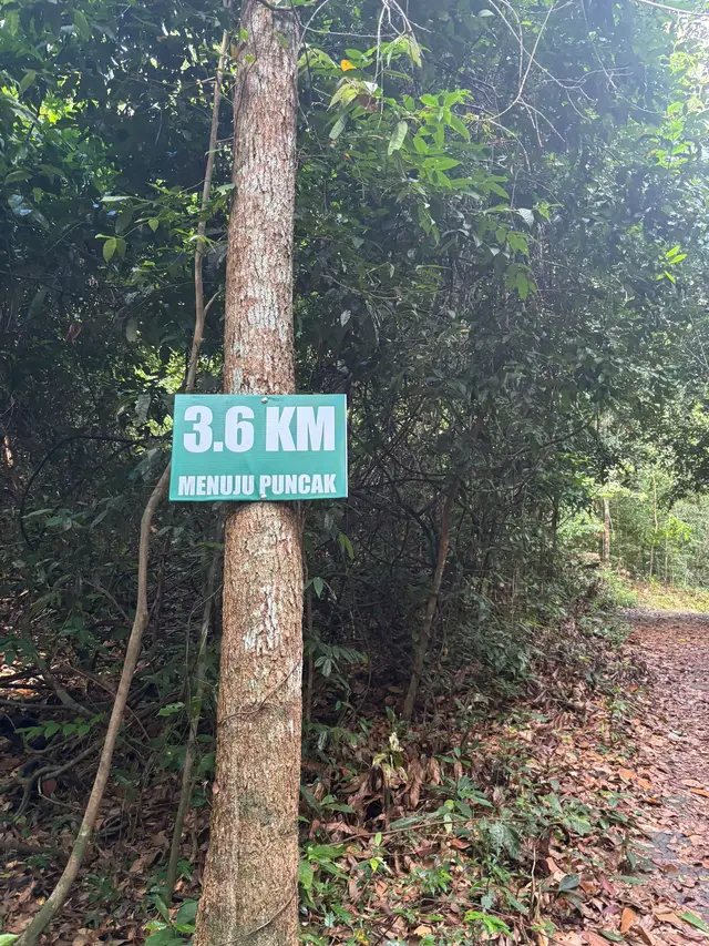 Dump 6.5Km