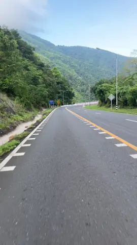 ⛰️🍃  #ธรรมชาติ #สะพานห้วยตอง #ยืมลงสตอรี่ได้ #ธรรมชาติบําบัด #เขาค้อ 