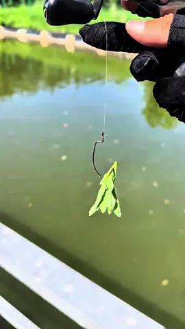 #fishing #viral #mancing #fyp 