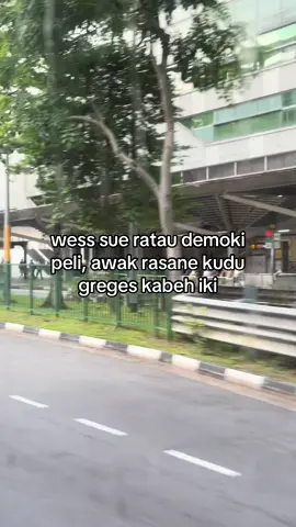 delok tok g ndemok yo kecut mass 😭