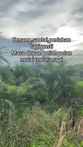 #harusfyp #kalteng #harusfyppokonya #fyp #storywa #tokesawit #pengusahasawit 