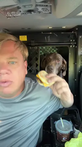 Know the menu #mcdonalds #dogsoftiktok #f 