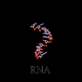 The most beautiful science #evolution #humanity #bio #art#edit