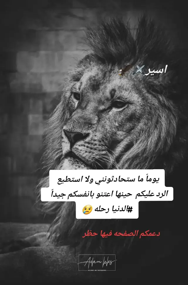 #تحياتي #للجميع #اسيرة_الاحزان💔 #مشاهير_تيك_توك 
