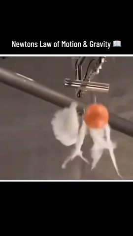What Happens Without Air Resistance? If there were no air resistance, all objects would fall at the same rate, regardless of their mass or shape. This is a key part of what Galileo showed and what Isaac Newton later explained with his laws of motion and gravity. ✅ Why? Because gravity pulls on all objects equally based only on their mass, and acceleration due to gravity (on Earth) is always about 9.8 m/s², no matter how heavy or light something is. Think of it like this: Imagine running through water—it slows you down. Air does the same thing, just less noticeably (unless you're moving very fast or the object has a large surface). #LearnOnTikTok #explore #gravityfalls #nasa 