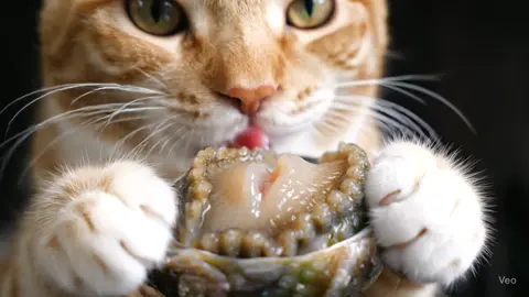 #ai #asmr #asmrsounds #asmrvideo #asmrtiktoks #abalone #nature #aiasmr #satisfying 