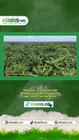 BPDP kembali membuktikan komitmennya terhadap keberlanjutan sawit dengan meraih Setaracita Award 2025 kategori Pendukung UMKM Petani Kelapa Sawit. Penghargaan ini menegaskan peran BPDP bukan hanya sebagai pengelola dana, tetapi juga pendorong inovasi, penguatan UMKM, hilirisasi, hingga kampanye positif untuk sawit. Prestasi ini sejalan dengan visi Sawit Emas 2045 menuju industri sawit yang berdaya saing global, berkelanjutan, dan memberi manfaat nyata bagi masyarakat. #BPDP #SawitIndonesia #UMKMSawit #SawitBerkelanjutan #SawitEmas2045  