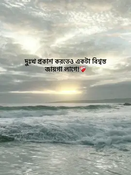 দুঃখ প্রকাশ করতেও একটা বিশ্বস্ত জায়গা লাগে!❤️‍🩹#vairal #yypシ #foryou #omoralwaysonfire @Omor Always On Fire @TikTok @TikTok Bangladesh @#foryou 