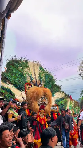 Batu bara💫💫