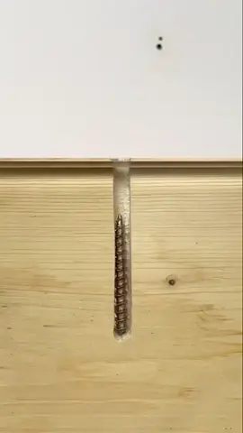 Remember this trick – use a screw when the hole is too large. #woodworking #short #woodworking24
