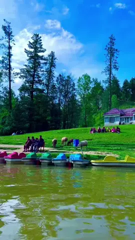 Banjosa Lake Azad Kashmir❤️‍🩹🥰 #foryoupage #banjosa #lake #viralvideo #banjosalake 