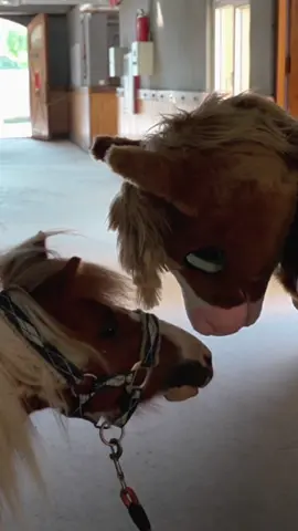 点进来看小马和小马的贴贴！🐴 #furry #fursuit #FursuitEveryday #cute #pony 