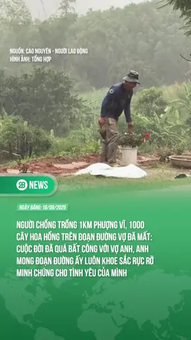 MỘT TÌNH CẢM KHÔNG THỂ CÂN ĐO ĐONG ĐẾM ĐƯỢC... ♥️ #theanh28 #28news #tiktoknews