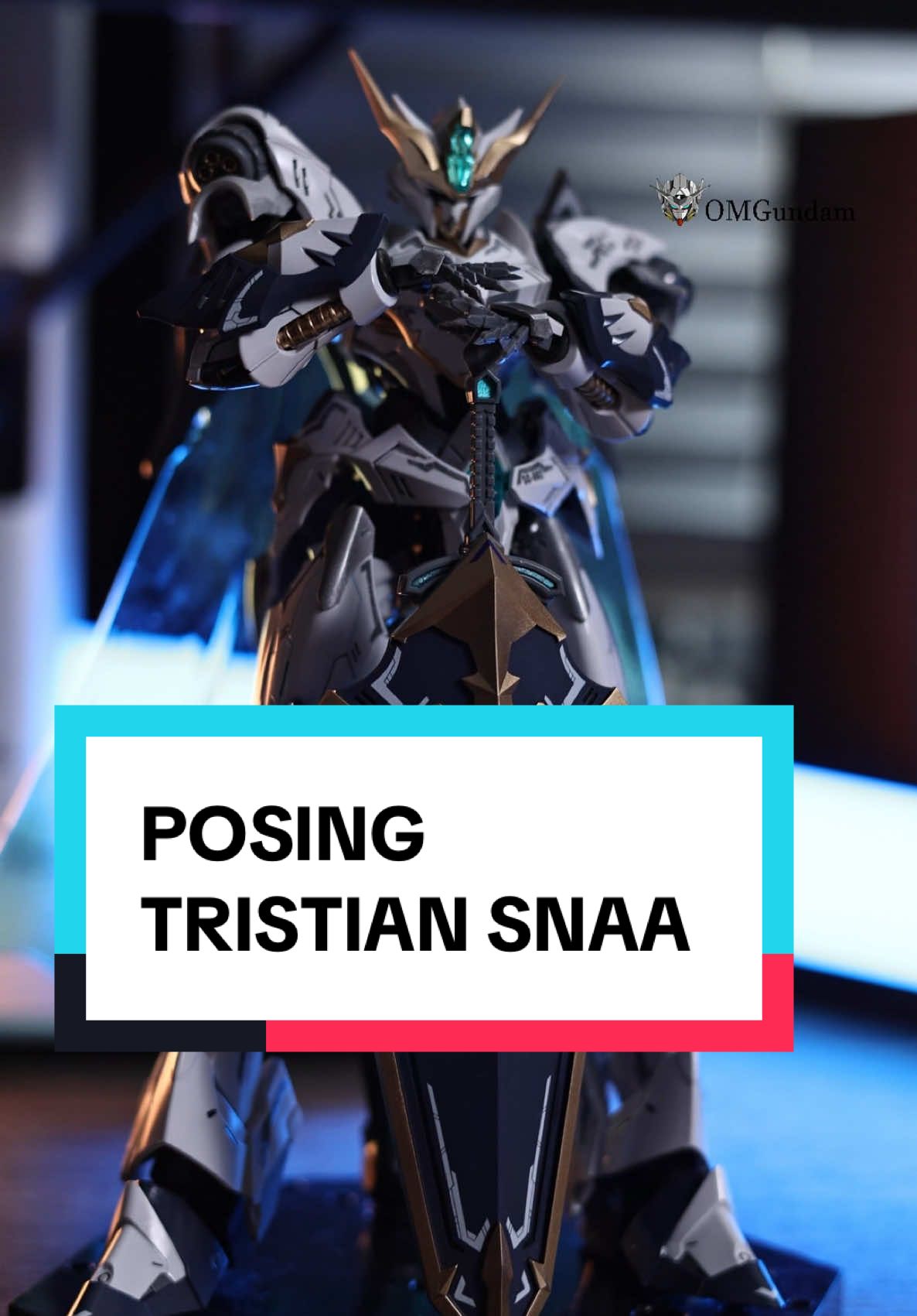 Tristian 1/144 by SNAA  Vợ mình lắp-decal-coating mọi thứ mình chỉ việc sà vô pose thôi. Mãi iu vợ tôi #kshatriya #exia #sazabi #sazabiverka #sinanju #sinanjustein #gundam #custom #trend #tristian #snaa #ironsickle 
