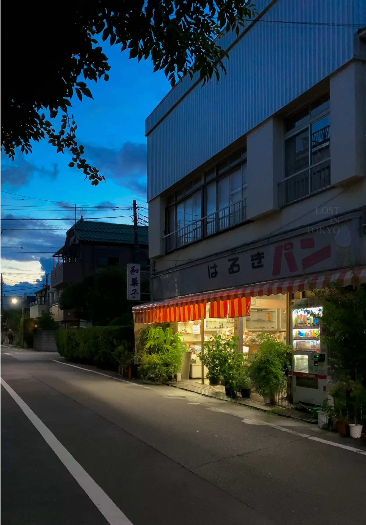 夕暮れの東京の街って、なんか不思議に懐かしい感じがするんだよね。 #vibe #japan #tokyo #日本 #aesthetic 