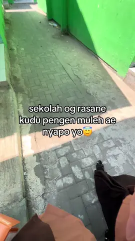 #trending #foryoupage #ibnewpost? #xyzbca 