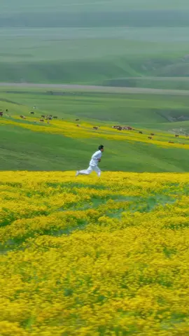Trend with Kazakh nature😍🇰🇿