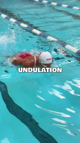 Have you heard of this butterfly drill #swimming #swimmwr #swim 