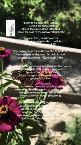 Replying to @Keyla Checo & it’s what we’re biblically called to feel and act on. these scriptures are not opinions, they are direct commands and calls to action. in his grief Jesus, when his own cousin was ripped from the world, only stayed silent for contemplation and then with compassion continued to fulfill the will of God “His head was brought in on a platter and given to the girl, who carried it to her mother. John’s disciples came and took his body and buried it. Then they went and told Jesus. When Jesus heard what had happened, he withdrew by boat privately to a solitary place. Hearing of this, the crowds followed him on foot from the towns. Jesus saw the huge crowd as he stepped from the boat, and he had compassion on them and healed their sick.” (Matthew 14:11-14) the Bible never contradicts itself. #bible #christiantiktok #jesus #bibleverse #god