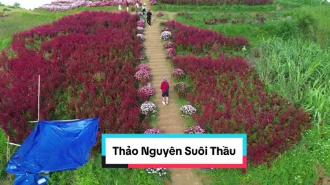 #thaonguyensuoithau #hagiang #hoangsuphi_hagiang 