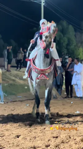 @احمد اسامه #نادي_الاجواد_للفروسيه_مصراتة❤️✋ #يسلم_الفارس_وحصانه🔥 #خيل_وخياله🐎 #ليبيا_طرابلس_مصر_تونس_المغرب_الخليج #الشغب_الصيني_مال_حال😂😂 