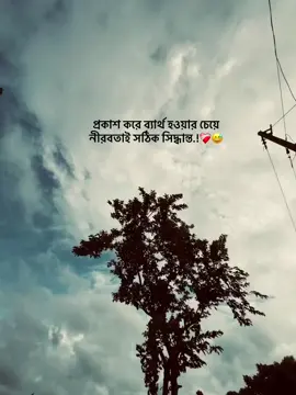 CP-23 ; প্রকাশ করে ব্যার্থ হওয়ার চেয়ে নীরবতাই সঠিক সিদ্ধান্ত..!💔😅 #foryoupage #banglacaption #sadcaption #emotionalvideo #fyp 