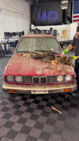 #cleaning #carcleaning #cardetailing #cardetail #carwashing 