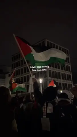 🇵🇸💪🏻 #freepalestine #fypシ #fyp #fyppppppppppppppppppppppp 