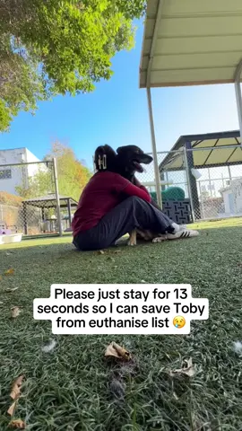 Keep fighting for Toby 🙏❤️