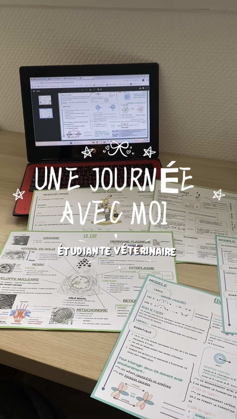 #fyp #studytok 
