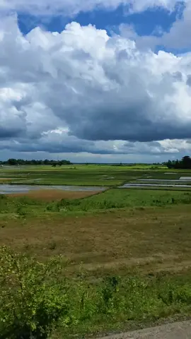 আমি ঝড়ের সামনে পাড়ি দাঁড়াতে। 