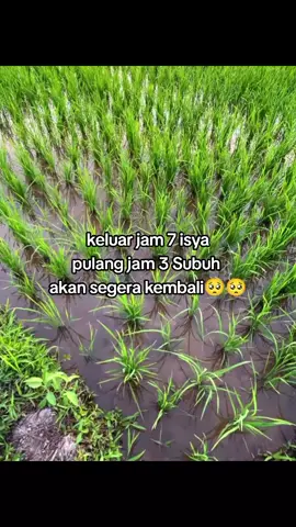 kangenramadhan#Ramadan #ramadhan2026#fyppppppppppppppppppppppp 