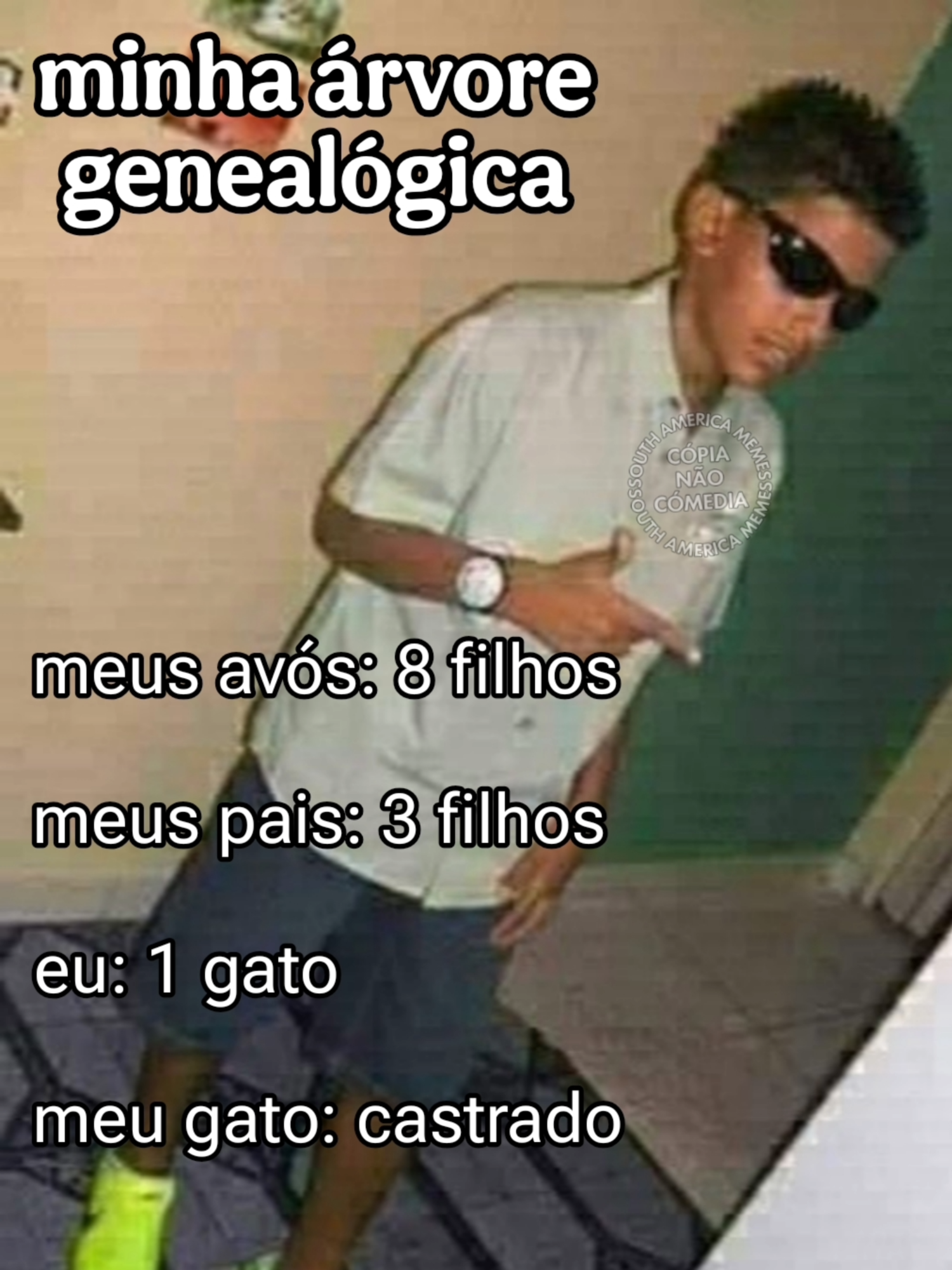 to assim #southamericamemes