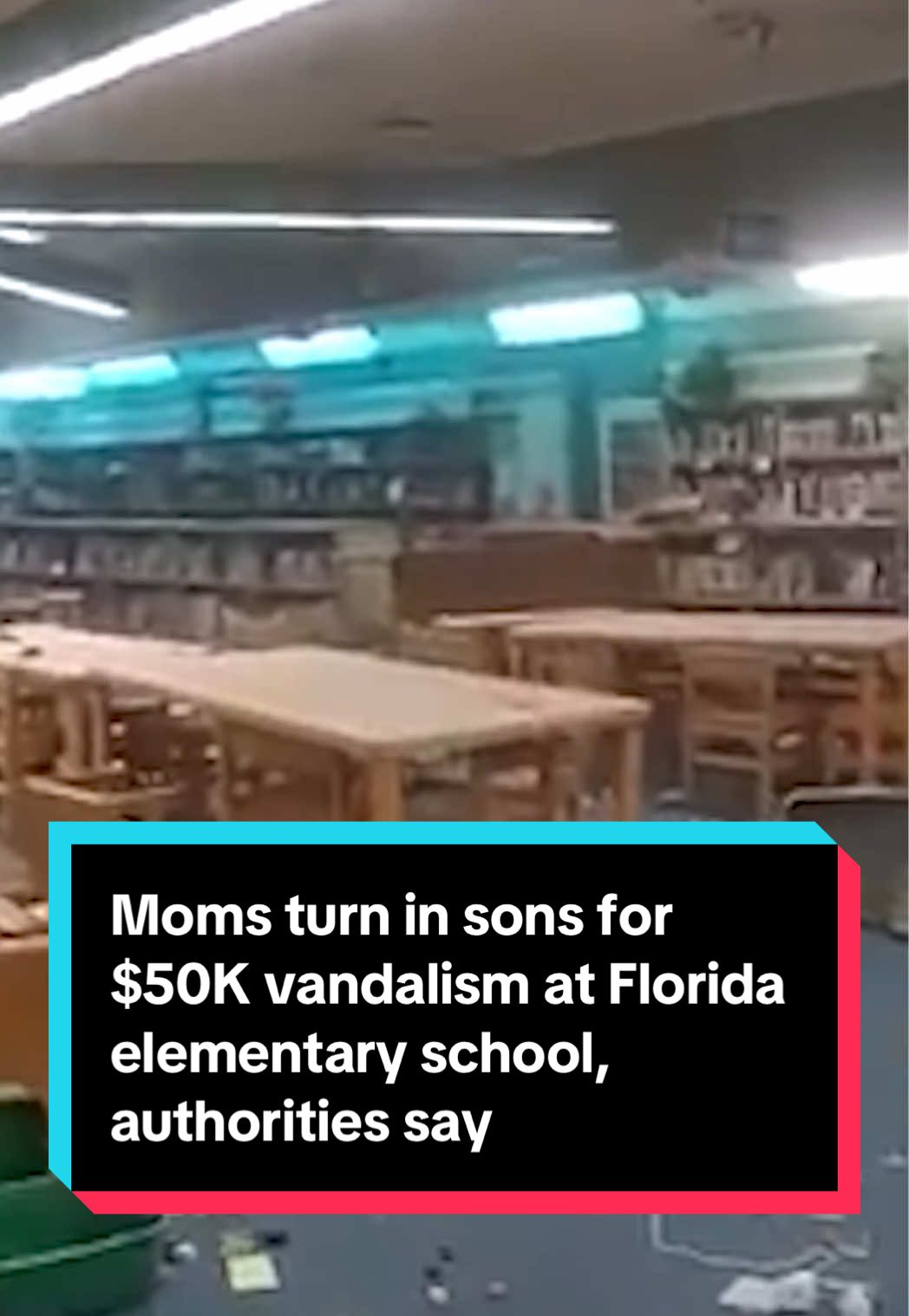 Two boys were turned in by their mothers Monday to face charges for allegedly causing $50,000 worth of vandalism damage to a central Florida elementary school's media center, investigators said. #florida #deltona 