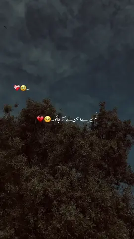 #🥹💔 #aesthetic #urdupoetry #faryou #viralvideo 