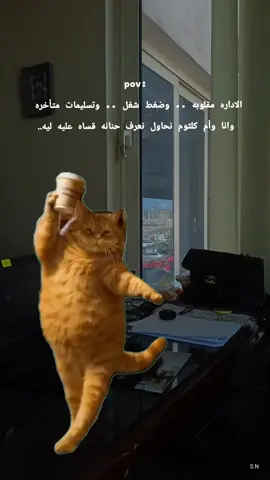 #CapCut #شعب_الصيني_ماله_حل😂😂 #هندسة #شغل 