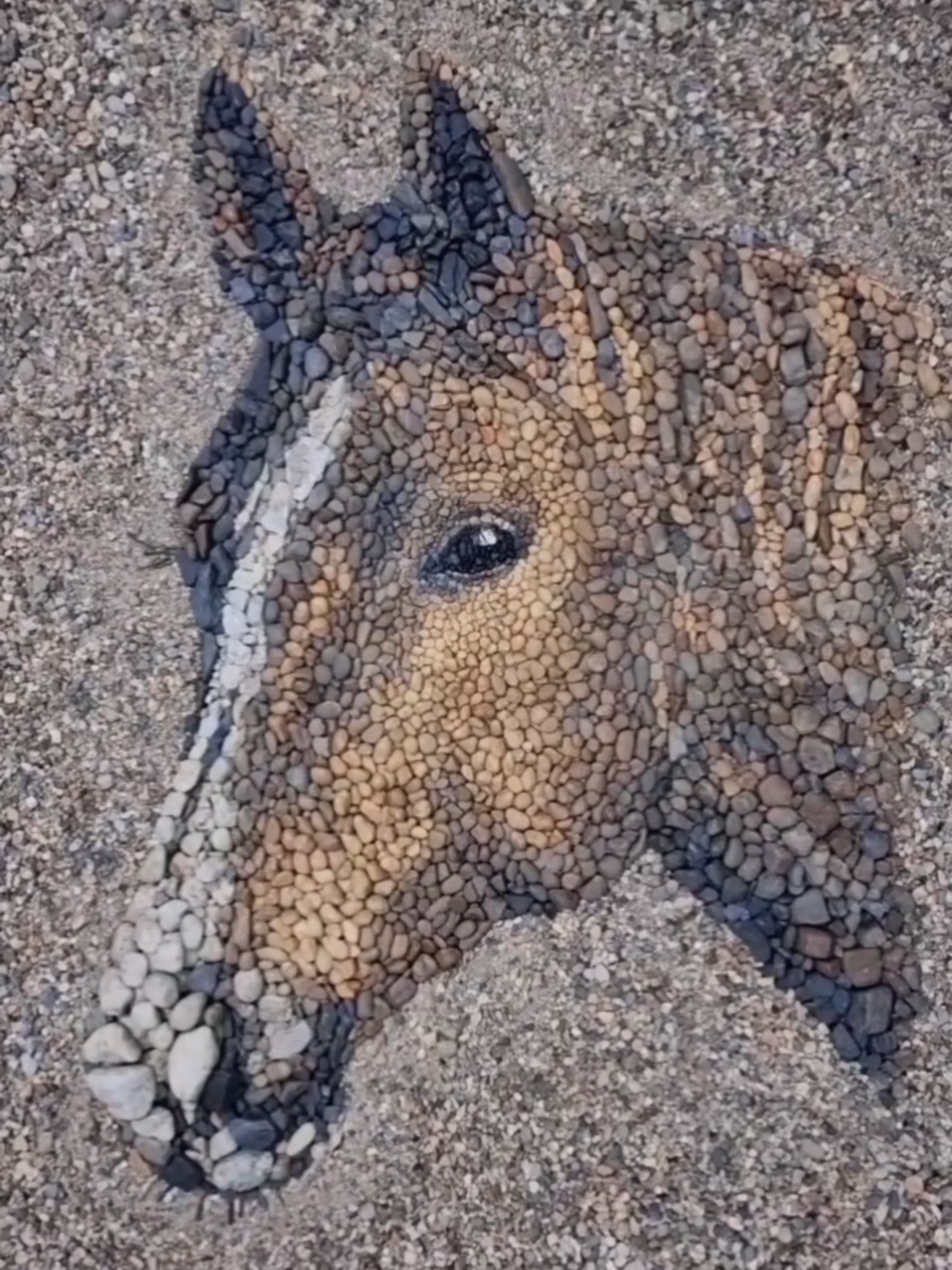 From scattered stones to a soul on the sand🐴 @pebblepicassos #pebble #horse #landart #landartist #mosaicart #mosaicportrait #natureart #stoneart #mosaics