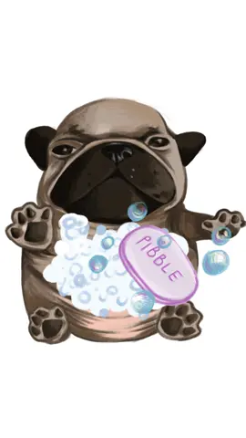I am pibble. wash my bellay. | PLEASE VISIT MY IG ITS SO HARD TO BLOW UP ON IG 🙏🙏🙏🙏 @ / urbl00dsuck3r  #pibble #pibblelove #pibblenation #fyppppppppppppppppppppppp #fyp 