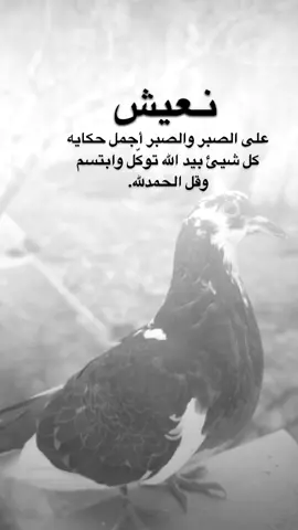 #اقتباسات من الحياة ، نعيش على الصبر والصبر أجمل حكايه كل شيئ بيد الله توكّل وابتسم  وقل الحمدلله.#كلمات_من_القلب #اكسبلورexplore #saasa88 #fypシ 