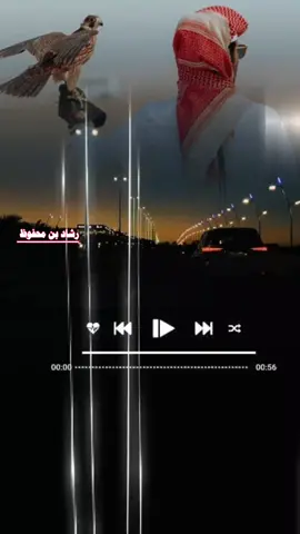 #شيلات_يمينه #تصميم_فيديوهات🎶🎤 #اكسبلورexplore❥🕊 