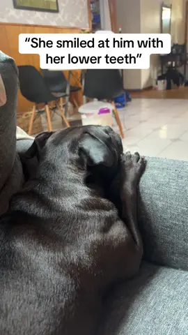 Boogie always smiles with her lower teeth 
