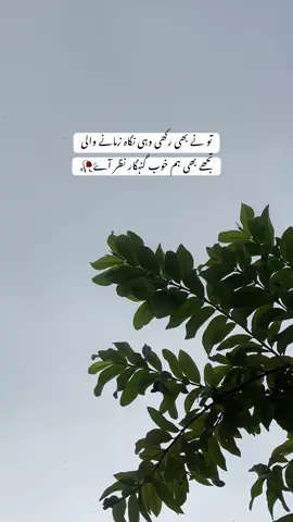 تو نے جو بُرا بھلا کہا ہم نے مان لیا ٹھہر گۓ پھر تم کیوں چھوڑ کے چلی گئی💔 #fyp #foryoupage #viewsproblem #unfrezzmyaccount #tiktokviral 