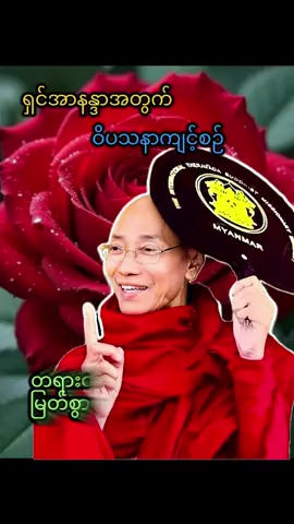 #ရှင်အာနန္ဒာအတွက်ဝိပသနာကျင့်စဉ်#တရားတော်များ #fyp #fypkyok #ပါချုပ်ဆရာတော်ဘုရာကြီး🙏🙏🙏 
