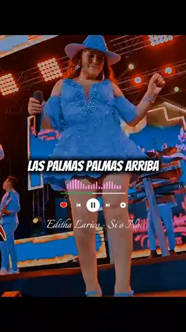 #edithalarico #sisisiononono #siono #mixfrancorojas #industriamelodiamusical like y comparte @Editha Larico 