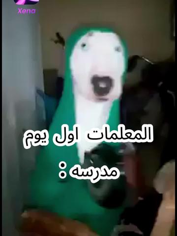 قم بتسجيل الدخول لتلقي هدايا سخية والحصول على مفاجآت على الفور!