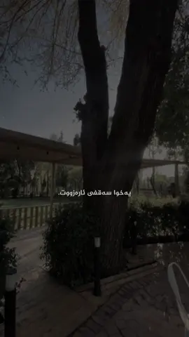 یاخوا سەقفی ئارووزت..#muhsenchavoshi #foryou #muhsenchavoshe #chavoshi #actives 
