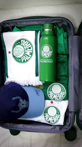 Apenas o essencial pra ir pra Argentina com a #PalmeirasViagens! 🫣💚
