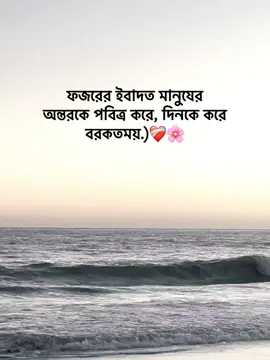 ফজরের ইবাদত মানুষের অন্তরকে পবিত্র করে, দিনকে করে বরকতময়.)❤️‍🩹🌸 #foryoupage #foryou #fypage #goviral #tranding @TikTok Bangladesh 